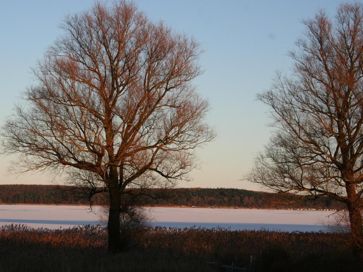 Ilonas Seeblick Apartamento Plau am See Exterior foto